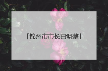 锦州市市长已调整