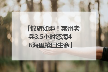 锦旗如炬！莱州老兵3.5小时怒海46海里抢回生命