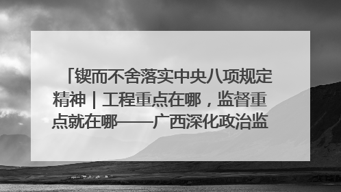 锲而不舍落实中央八项规定精神｜工程重点在哪，监督重点就在哪——广西深化政治监督护航平陆运河建设