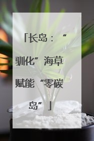 长岛：“驯化”海草赋能“零碳岛”