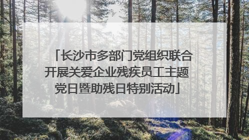 长沙市多部门党组织联合开展关爱企业残疾员工主题党日暨助残日特别活动