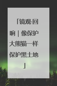 镜观·回响｜像保护大熊猫一样保护黑土地