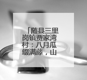 随县三里岗镇贾家湾村：八月瓜缀满藤，山野孕育甜蜜希望