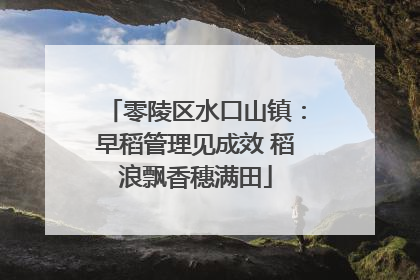零陵区水口山镇：早稻管理见成效 稻浪飘香穗满田