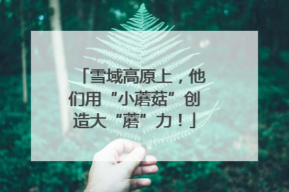 雪域高原上，他们用“小蘑菇”创造大“蘑”力！