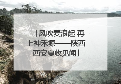风吹麦浪起 再上神禾塬——陕西西安夏收见闻