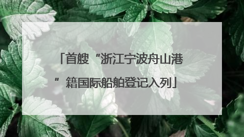 首艘“浙江宁波舟山港”籍国际船舶登记入列