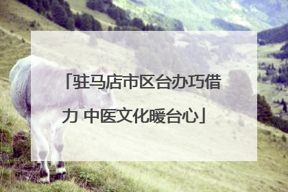 驻马店市区台办巧借力 中医文化暖台心
