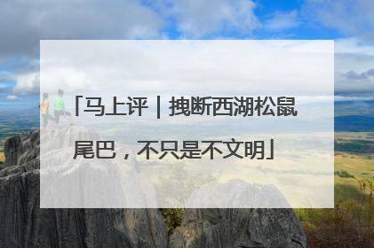 马上评｜拽断西湖松鼠尾巴，不只是不文明