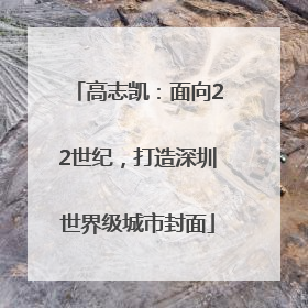 高志凯：面向22世纪，打造深圳世界级城市封面
