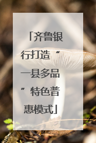 齐鲁银行打造“一县多品”特色普惠模式