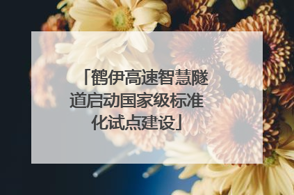 鹤伊高速智慧隧道启动国家级标准化试点建设