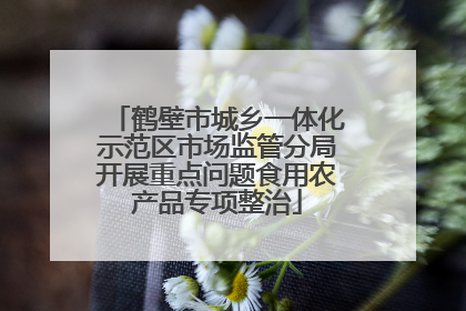 鹤壁市城乡一体化示范区市场监管分局开展重点问题食用农产品专项整治