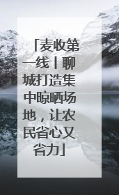 麦收第一线丨聊城打造集中晾晒场地，让农民省心又省力