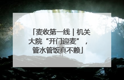 麦收第一线｜机关大院“开门迎麦”，管水管饭真不赖