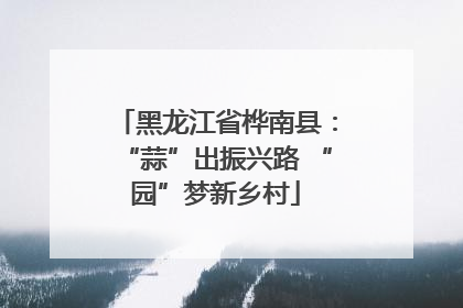 黑龙江省桦南县：“蒜”出振兴路 “园”梦新乡村