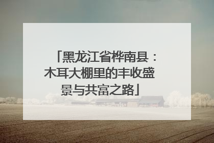 黑龙江省桦南县：木耳大棚里的丰收盛景与共富之路