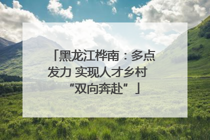 黑龙江桦南：多点发力 实现人才乡村“双向奔赴”