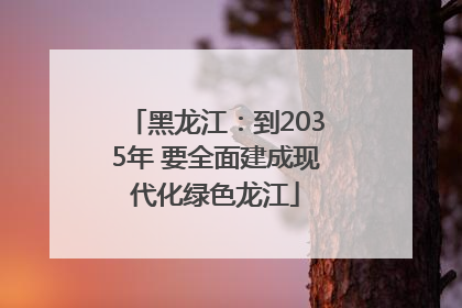 黑龙江：到2035年 要全面建成现代化绿色龙江