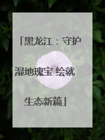 黑龙江：守护湿地瑰宝 绘就生态新篇