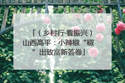 （乡村行·看振兴）山西高平：小辣椒“椒”出致富新答卷