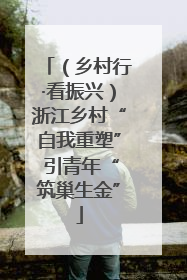 （乡村行·看振兴）浙江乡村“自我重塑” 引青年“筑巢生金”