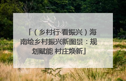 （乡村行·看振兴）海南绘乡村振兴新图景：规划赋能 村庄焕新