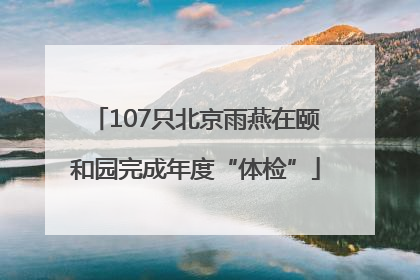 107只北京雨燕在颐和园完成年度“体检”