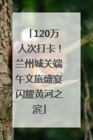 120万人次打卡！兰州城关端午文旅盛宴闪耀黄河之滨