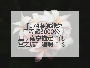 174条航线总里程超3000公里，南京锚定“低空之城”唱响“飞得更高”