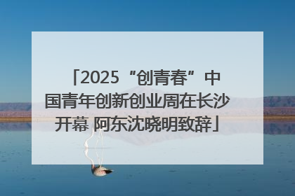 2025“创青春”中国青年创新创业周在长沙开幕 阿东沈晓明致辞