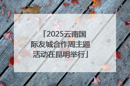 2025云南国际友城合作周主题活动在昆明举行