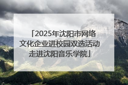 2025年沈阳市网络文化企业进校园双选活动走进沈阳音乐学院