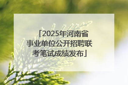 2025年河南省事业单位公开招聘联考笔试成绩发布
