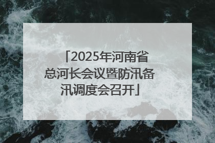 2025年河南省总河长会议暨防汛备汛调度会召开