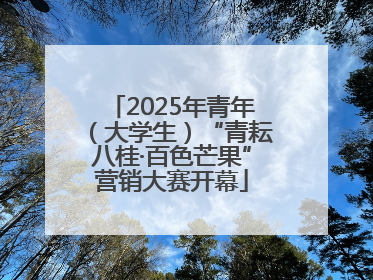 2025年青年（大学生）“青耘八桂·百色芒果”营销大赛开幕