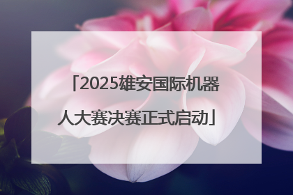 2025雄安国际机器人大赛决赛正式启动