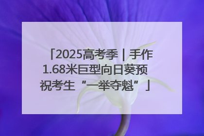 2025高考季｜手作1.68米巨型向日葵预祝考生“一举夺魁”