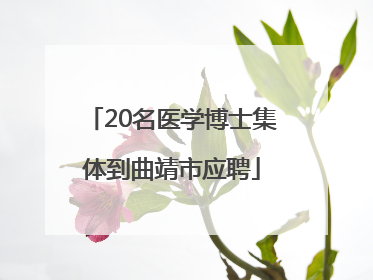 20名医学博士集体到曲靖市应聘