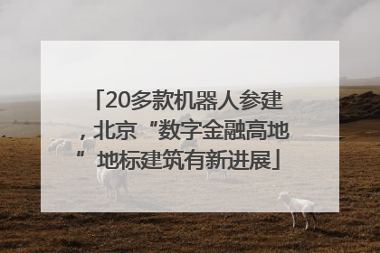 20多款机器人参建，北京“数字金融高地”地标建筑有新进展