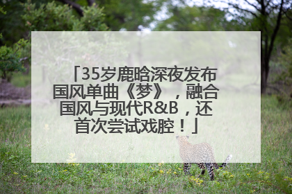 35岁鹿晗深夜发布国风单曲《梦》，融合国风与现代R&B，还首次尝试戏腔！