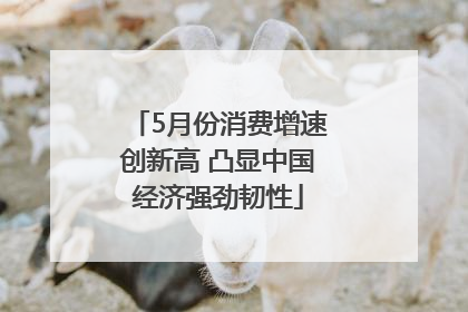 5月份消费增速创新高 凸显中国经济强劲韧性