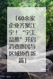 60余家企业齐聚江宁！“宁工品推”开启消费惠民与区域协作新篇