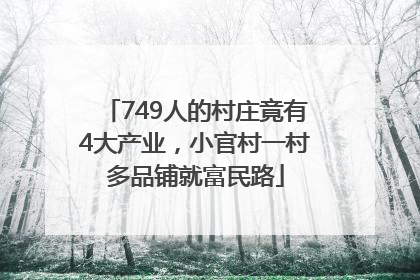 749人的村庄竟有4大产业，小官村一村多品铺就富民路
