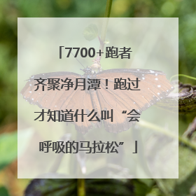 7700+跑者齐聚净月潭！跑过才知道什么叫“会呼吸的马拉松”