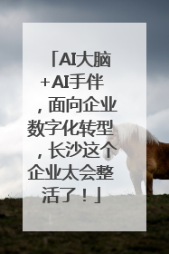 AI大脑+AI手伴，面向企业数字化转型，长沙这个企业太会整活了！