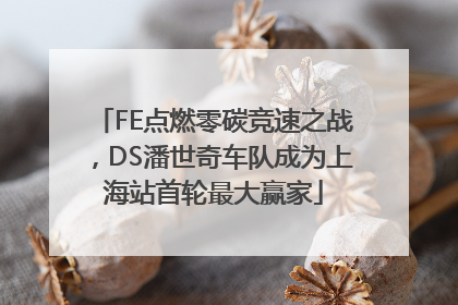 FE点燃零碳竞速之战，DS潘世奇车队成为上海站首轮最大赢家