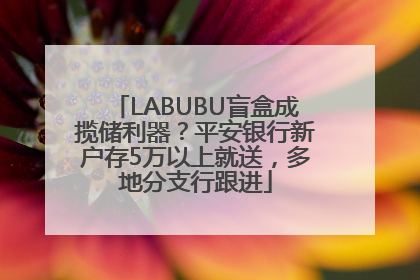 LABUBU盲盒成揽储利器？平安银行新户存5万以上就送，多地分支行跟进