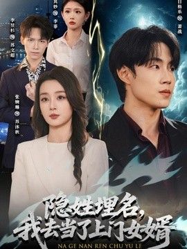 隐姓埋名,我去当了上门女婿海报