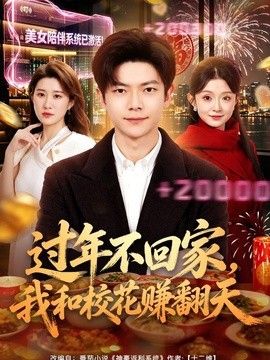 过年不回家,我和校花赚翻天海报